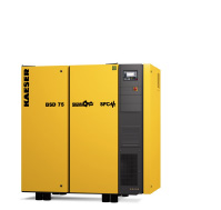 BSD SFC Variable Speed Drive